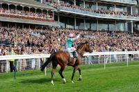 York Racecourse Shortlisted in Regional Tourism Awards