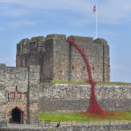 Iconic Poppy Sculpture Weeping Window Opens in Carlisle