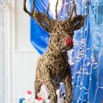 Kemps Goes to Town & Celebrates Christmas Windows with Local Talent