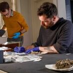 Melsonby Hoard Secures Funding